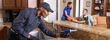 Best Residential Pest Control  in Algona, WA